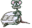 SOURIS même quand ça sent le ROUSSI !
